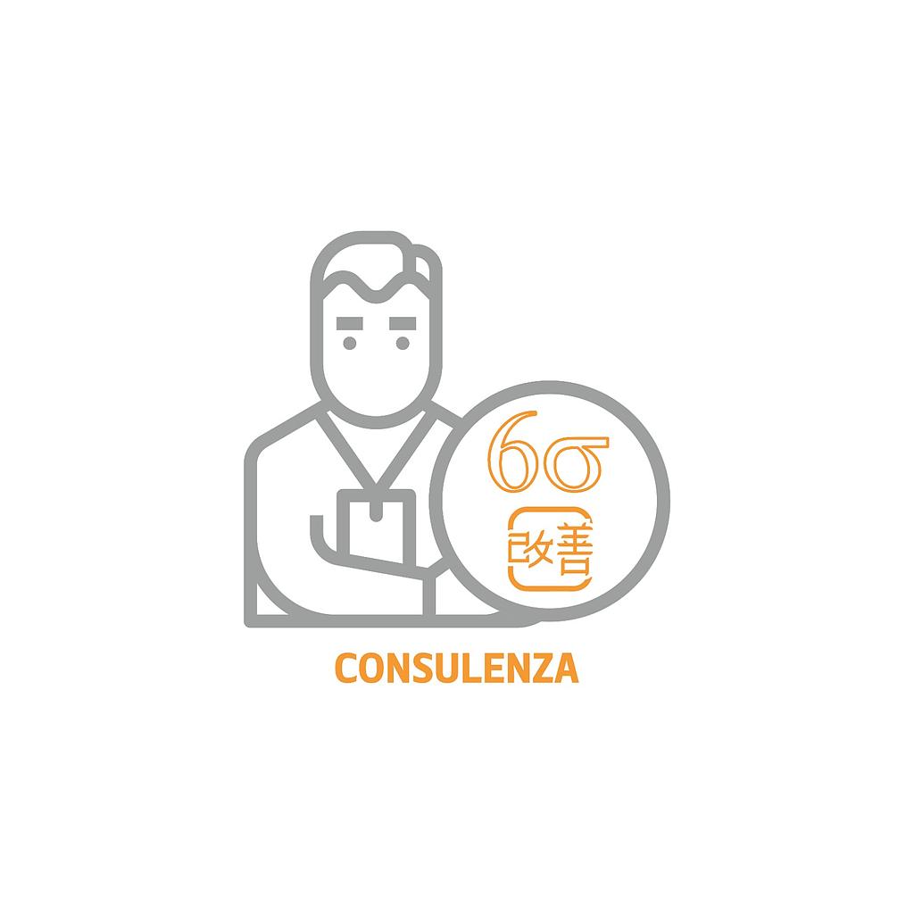 Consulenza lean six sigma